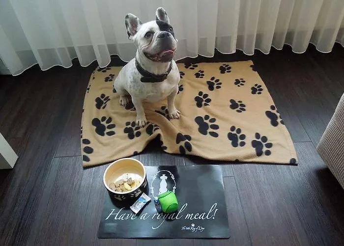 Hotell Relexa Schatten Stuttgart