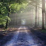 Relexa Schatten 4* Štutgart