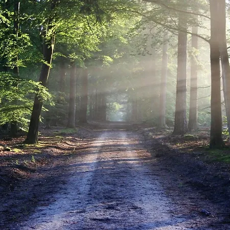 Relexa Waldhotel Schatten 4* Stuttgart